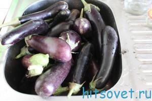 баклажаны