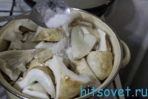 засолка груздей