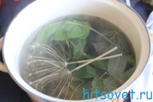 Заливаем кипятком зелень