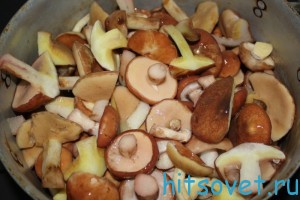 маслята промытые