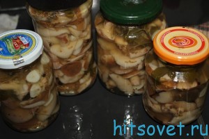 маслята маринованные