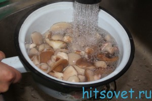 промыть грибы