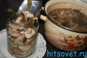 маслята маринованные