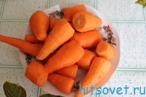морковь 