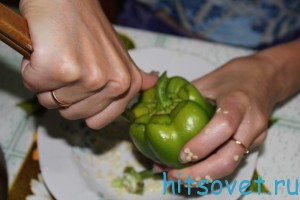 болгарский перец