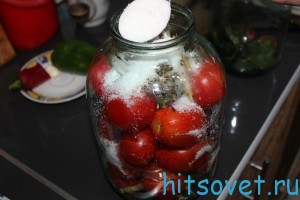 засолка помидор