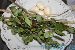 веточки вишни, стебли укропа, чеснок