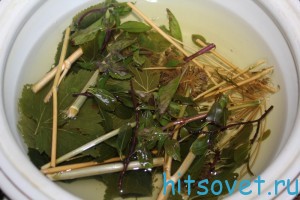 засолка помидор
