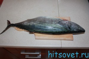 тунец