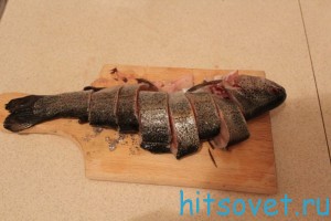 форель
