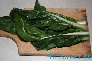 blitva