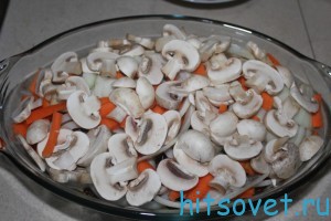 грибы