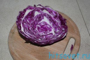 kapusta