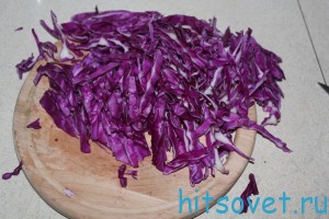 kapusta2