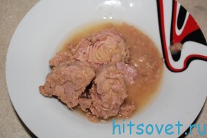konserva