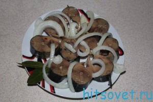 Засоленная скумрия