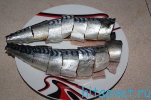 Как засолить скумбрию