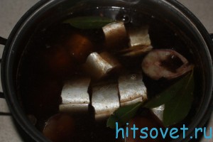 Как засолить скумбрию