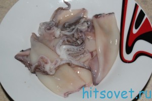 кальмары