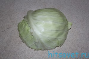 kapusta