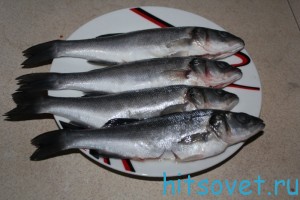 sibas2