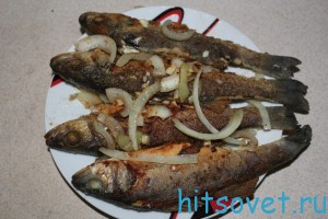 Как приготовить сибас (бранцин)