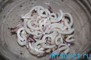 kalmari4