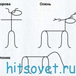 kompani_sh