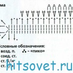 strekoza_sh
