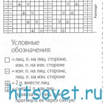 top_dzhins_shema