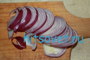 Репчатый лук