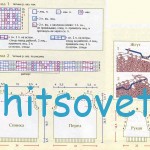 Схема вязания топика
