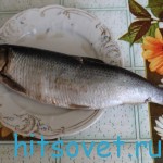 Сельдь соленая