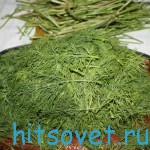Укроп на зиму