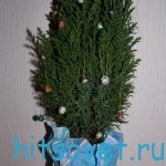 Украшение для живой елочки Украшение для живой елочки
