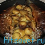 Запеченная форель