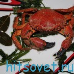 Как приготовить краба Как приготовить краба