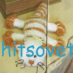Вязаный кот Лентяй